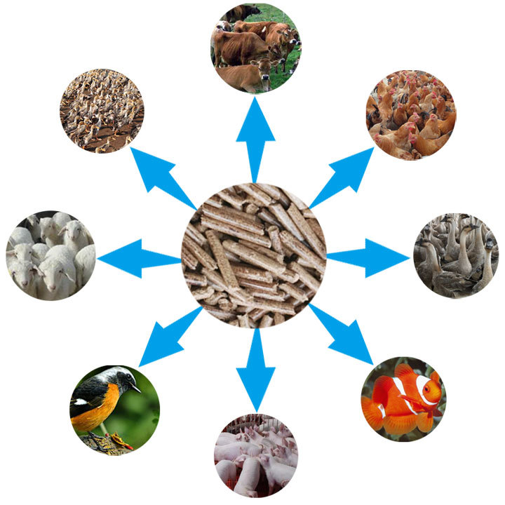 秸稈飼料顆粒機顆粒用途圖片