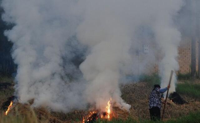 焚燒秸稈 焚燒秸稈