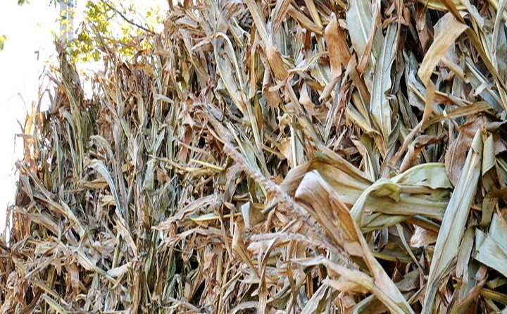 1555740823478187.jpg 979068603_1317128814_副本