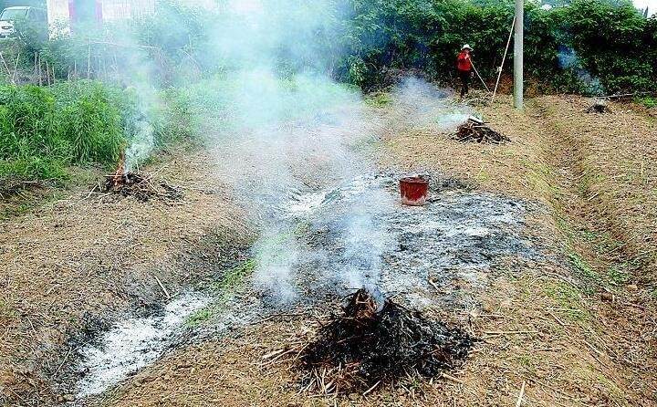 焚燒農作物秸稈 焚燒農作物秸稈