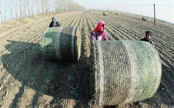 農民進行秸稈打捆 農民進行秸稈打捆