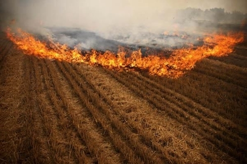 秸稈焚燒造成環境污染 秸稈焚燒造成環境污染