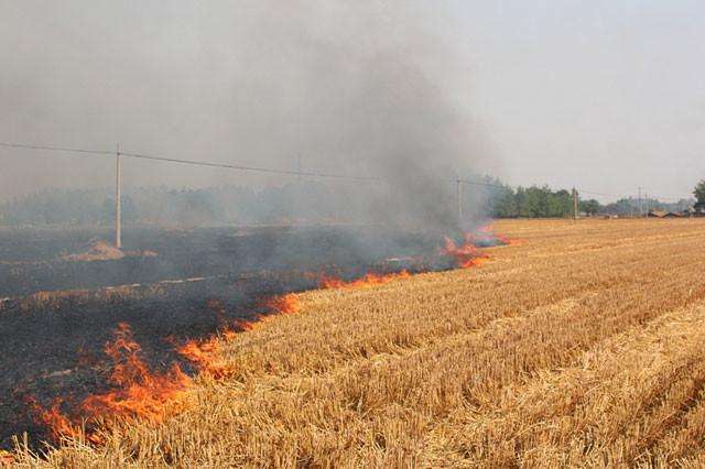 秸稈焚燒污染環境百害無一利 秸稈焚燒污染環境百害無一利