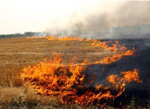 秸稈焚燒造成嚴重環境污染