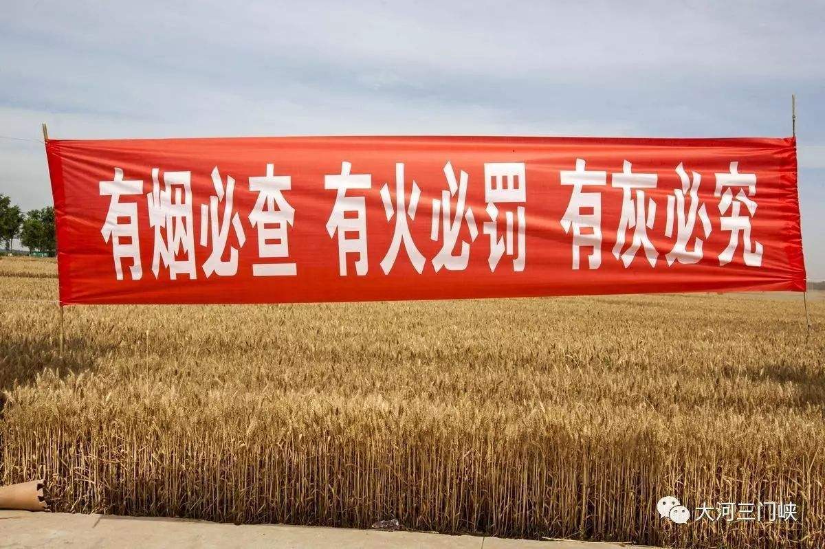 史上最嚴禁燒令