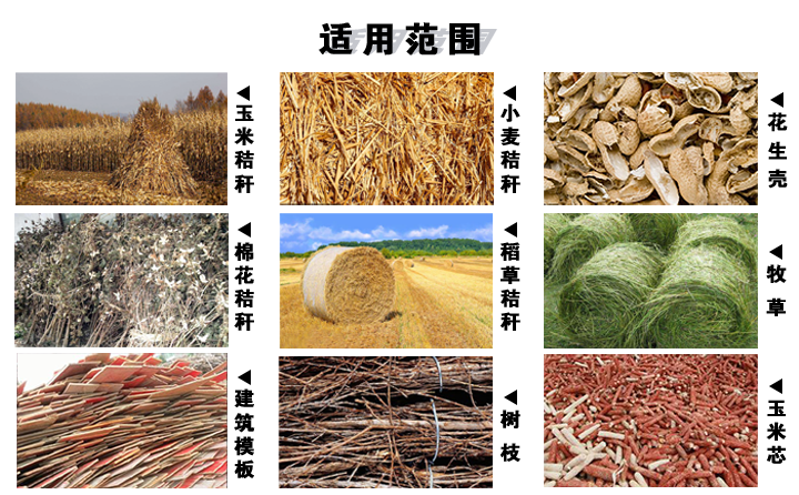 生物質廢棄物 生物質廢棄物