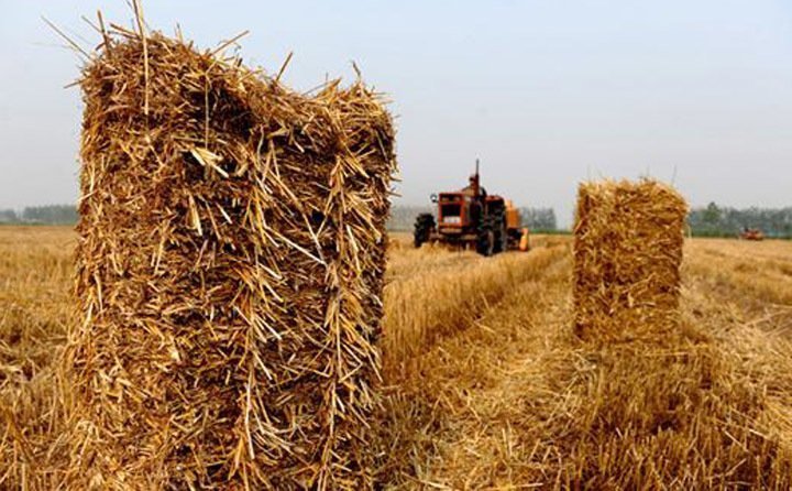 農作物秸稈處理