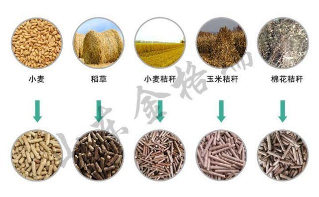 小麥秸稈顆粒機可以處理這些秸稈 小麥秸稈顆粒機可以處理這些秸稈