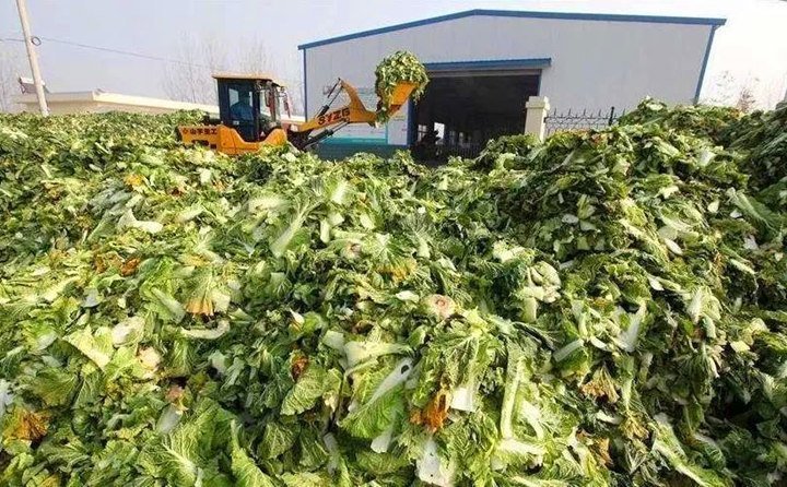 臨澤有招,變廢為寶,實現了秸稈、尾菜、畜禽糞便等廢棄物的“飼料化、菌料化、肥料化、燃料化” 臨澤有招,變廢為寶,實現了秸稈、尾菜、畜禽糞便等廢棄物的“飼料化、菌料化、肥料化、燃料化”