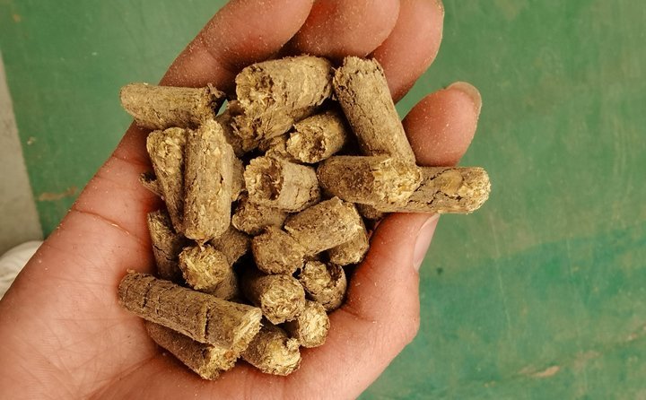 秸稈飼料顆粒機(jī)提高秸稈利用率,飼料顆粒機(jī)是以玉米、豆粕、秸稈、草、稻殼等為原料,通過粉碎原料后直接壓制成顆粒的飼料加工機(jī)械。 秸稈飼料顆粒機(jī)提高秸稈利用率,飼料顆粒機(jī)是以玉米、豆粕、秸稈、草、稻殼等為原料,通過粉碎原料后直接壓制成顆粒的飼料加工機(jī)械。