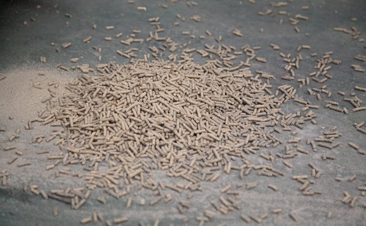 秸稈制粒機加工的生物質燃料顆粒 秸稈制粒機加工的生物質燃料顆粒