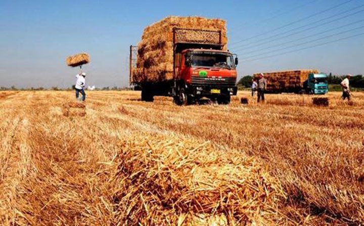 秋季是個豐收的季節(jié),是農(nóng)民一年中最開心的時候,看著金黃的玉米,又白又胖的花生,還有那沉甸甸的稻穗 秋季是個豐收的季節(jié),是農(nóng)民一年中最開心的時候,看著金黃的玉米,又白又胖的花生,還有那沉甸甸的稻穗