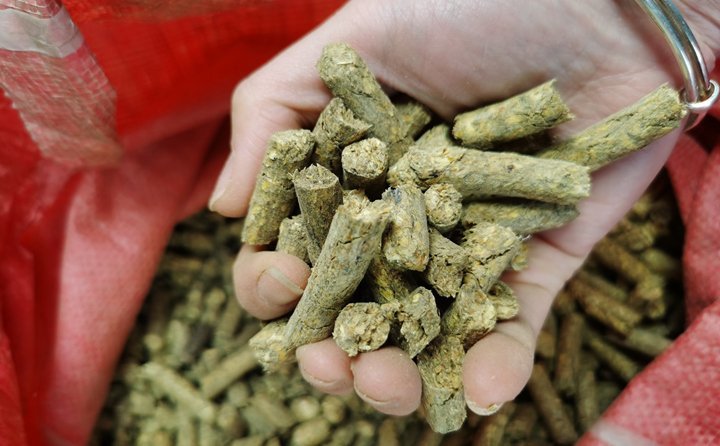 秸稈顆粒機就是將粉碎后的秸稈制成顆粒飼料，用于飼喂牛羊