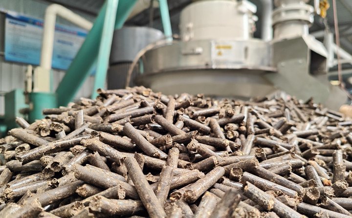 秸稈顆粒機加工的玉米秸稈顆粒 秸稈顆粒機加工的玉米秸稈顆粒