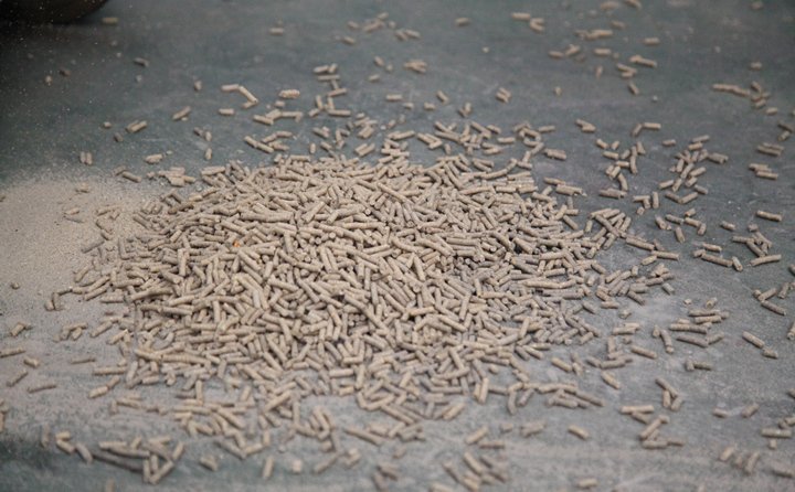 顆粒燃料 顆粒燃料