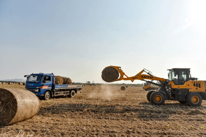 秸稈綜合利用 秸稈綜合利用