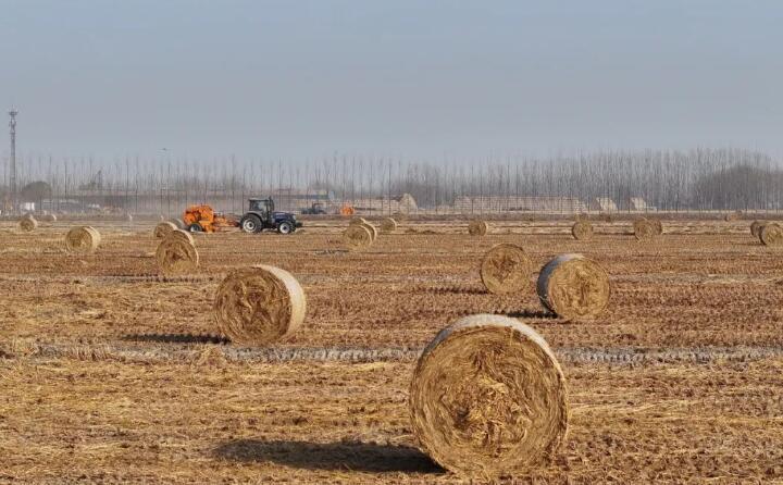 我國形成秸稈多元利用新格局 我國形成秸稈多元利用新格局