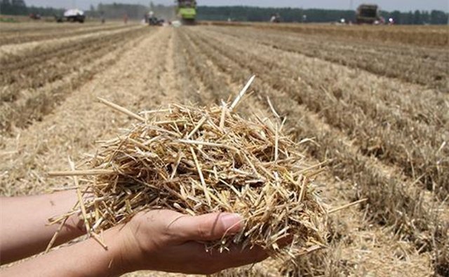 浙江省杭州市農作物秸稈綜合利用漸入佳境 浙江省杭州市農作物秸稈綜合利用漸入佳境