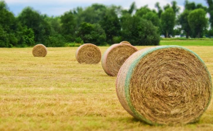 浙江省經(jīng)濟騰飛與秸稈利用相得益彰 浙江省經(jīng)濟騰飛與秸稈利用相得益彰