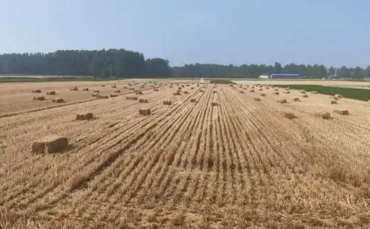 社旗縣下洼鎮:變“廢”為“寶”探新路 秸稈“五化”助振興 社旗縣下洼鎮:變“廢”為“寶”探新路 秸稈“五化”助振興