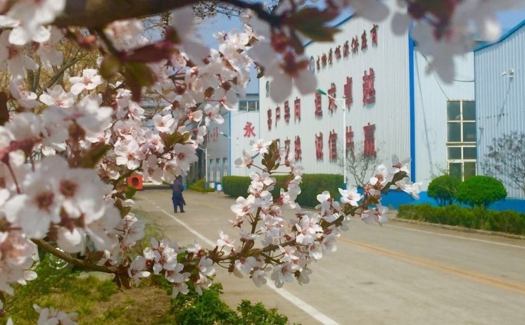 山東金格瑞的廠區一角美景 山東金格瑞的廠區一角美景